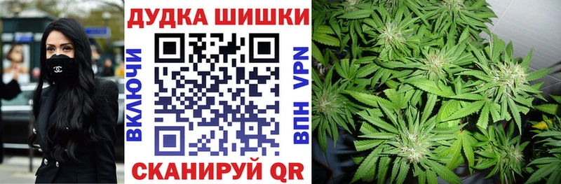Каннабис SATIVA & INDICA  цены   Грайворон 